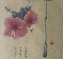catalog-item-img