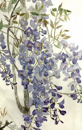 chinese-painting-img2